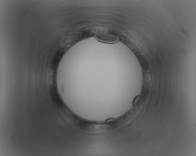 X0000116480323200912292051