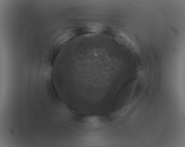 X0000116480325200912292051