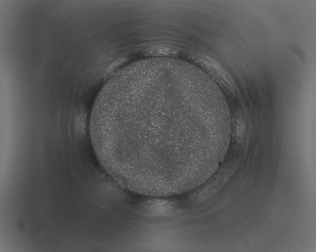 X0000116480326200912292051