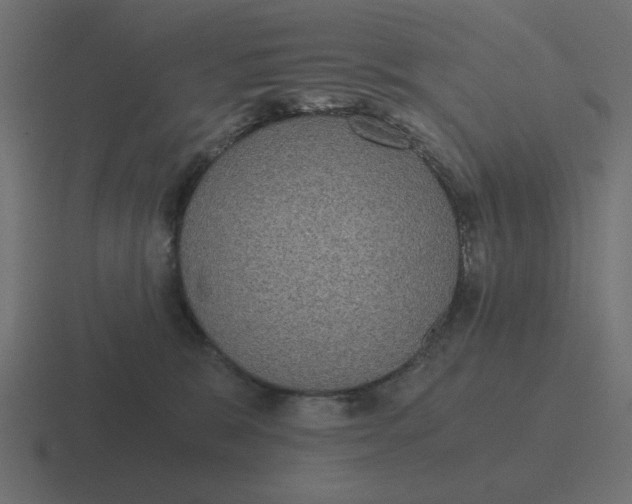 X0000116480327200912292051