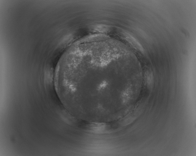 X0000116480328200912292051