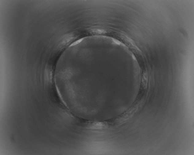 X0000116480330200912292051