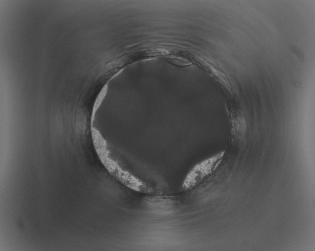 X0000116480331200912292051