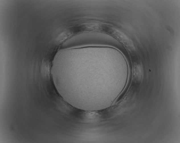 X0000116480333200912292051