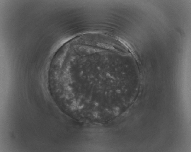 X0000116480337200912292050