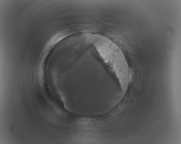 X0000116480339200912292050