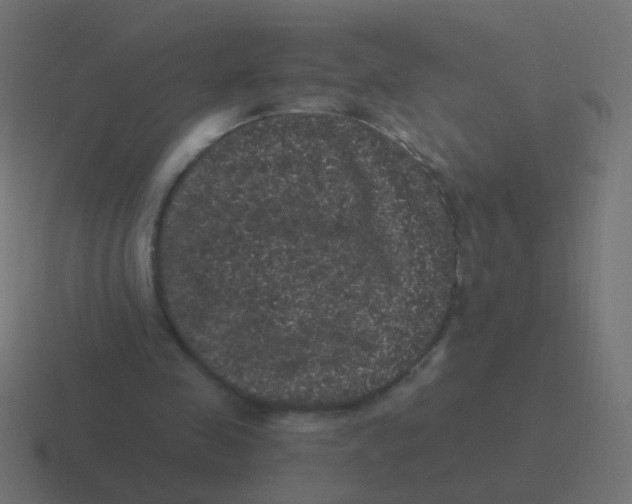 X0000116480341200912292050