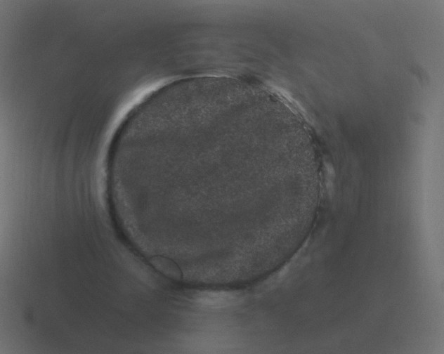 X0000116480342200912292050