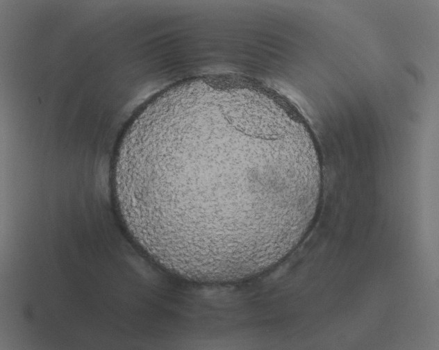 X0000116480345200912292050