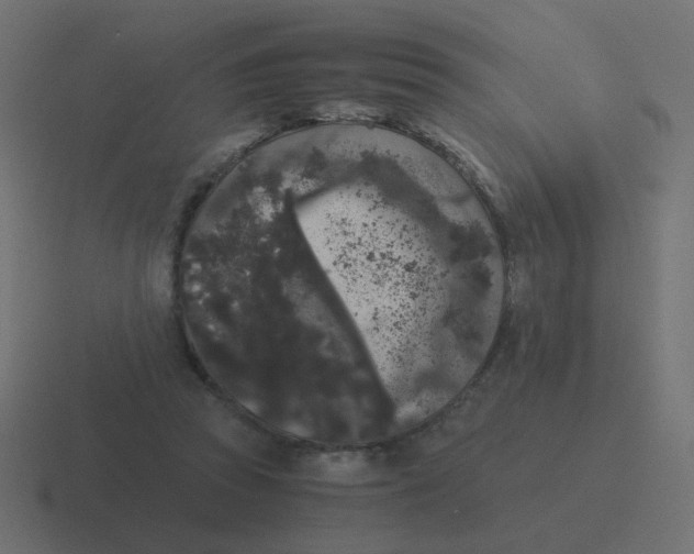 X0000116480353200912292050