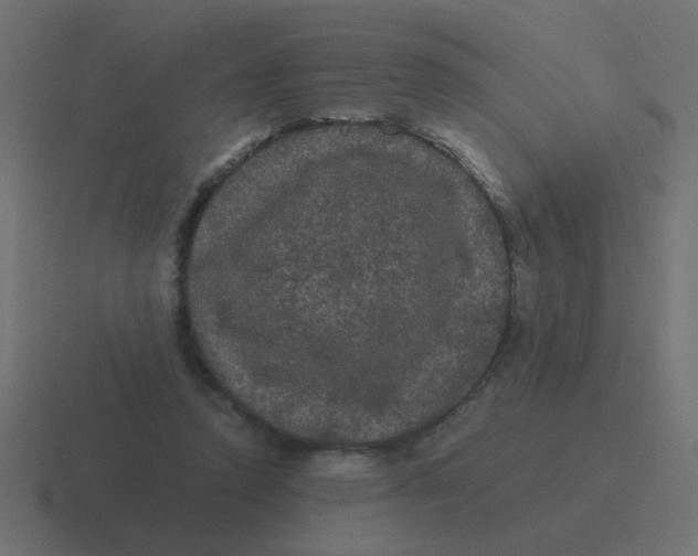 X0000116480354200912292050