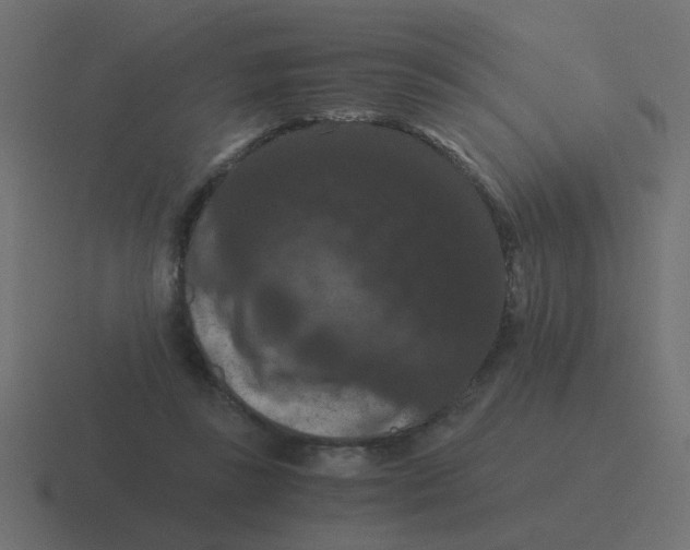 X0000116480355200912292050