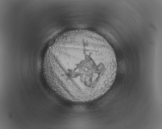 X0000116480358200912292050