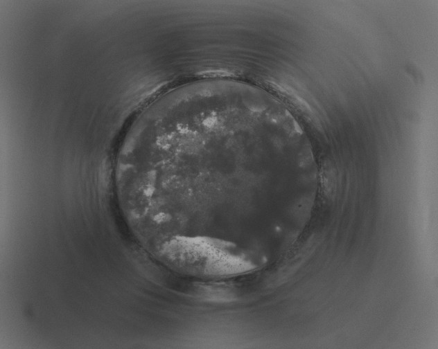 X0000116480359200912292050