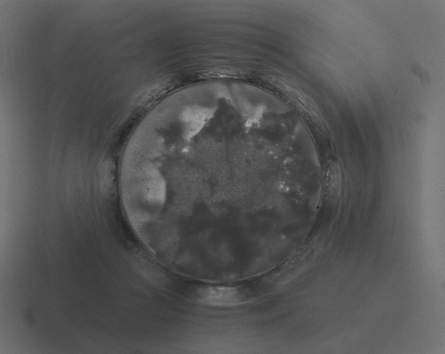 X0000116480361200912292050