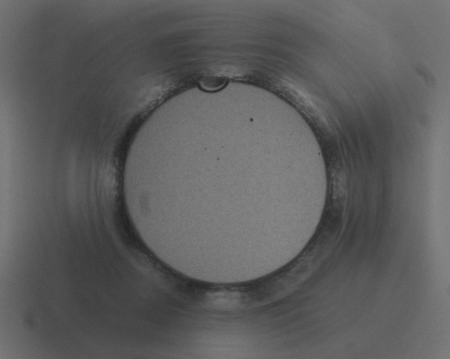 X0000116480362200912292050