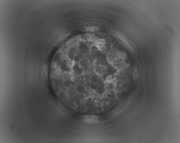 X0000116480363200912292050