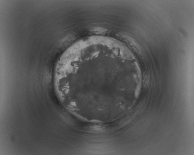 X0000116480365200912292050