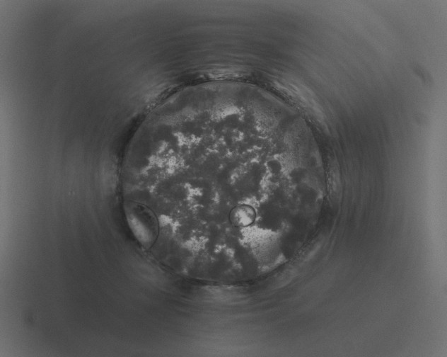 X0000116480367200912292050