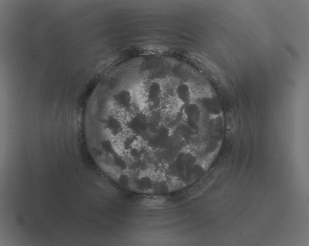 X0000116480369200912292050