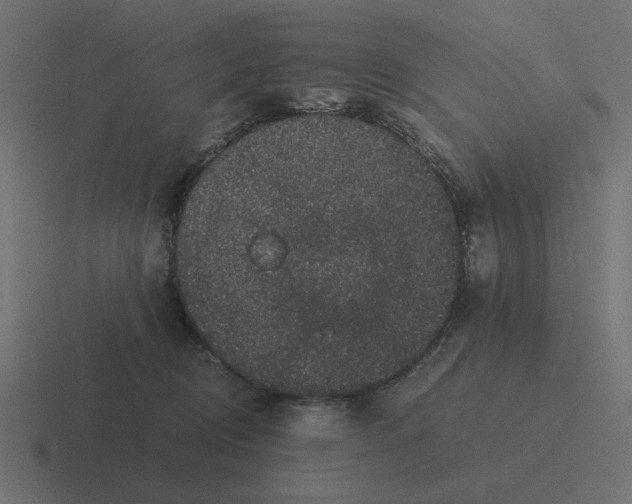 X0000116480370200912292050