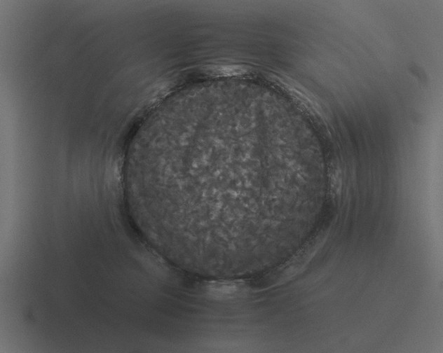 X0000116480373200912292051