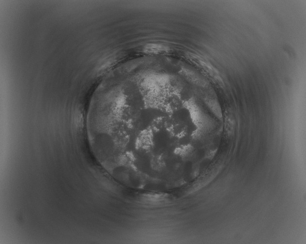 X0000116480375200912292051