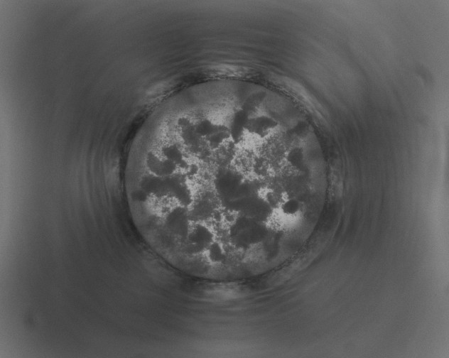 X0000116480377200912292051