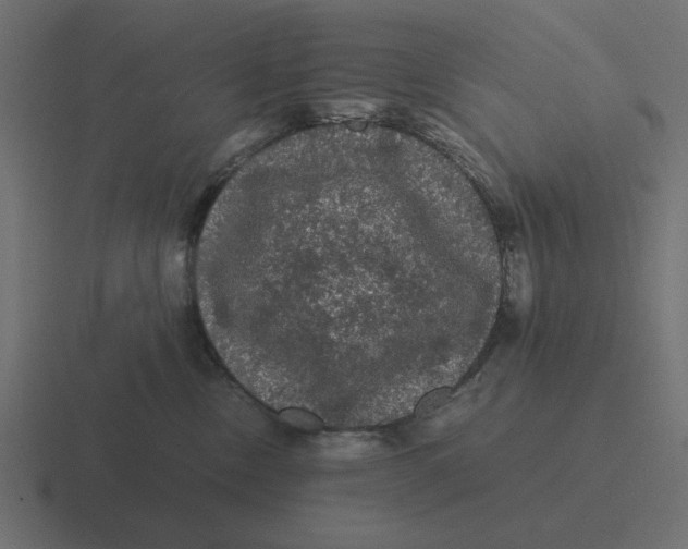 X0000116480378200912292051