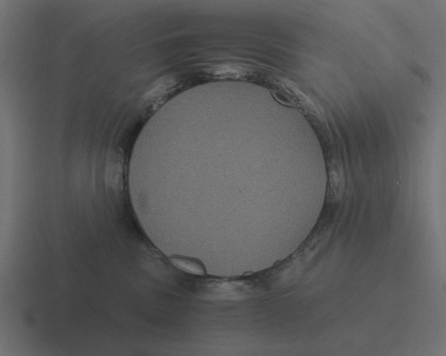 X0000116480379200912292051