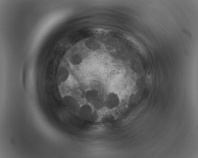 X0000116480381200912292051