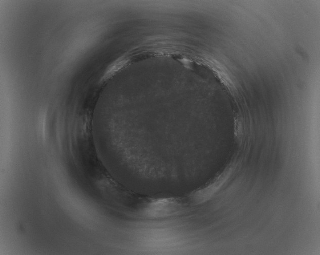 X0000116480382200912292051