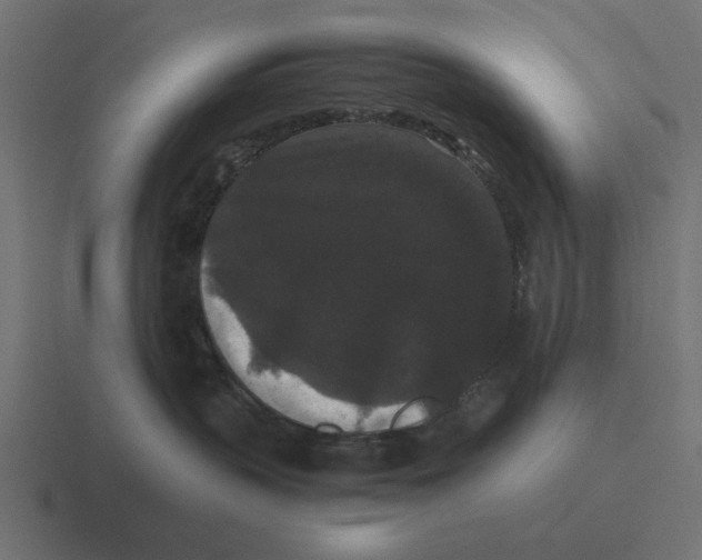 X0000116480383200912292051