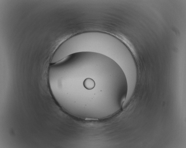 X0000116480385200912292050