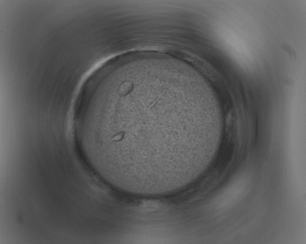 X0000116480388200912292050