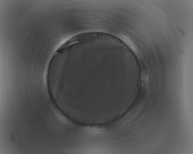 X0000116480389200912292050