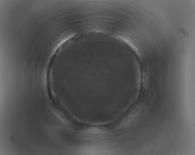 X0000116480390200912292050