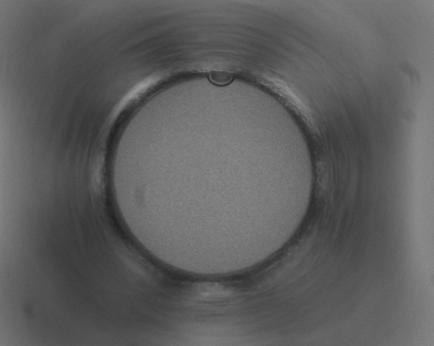 X0000116480392200912292050