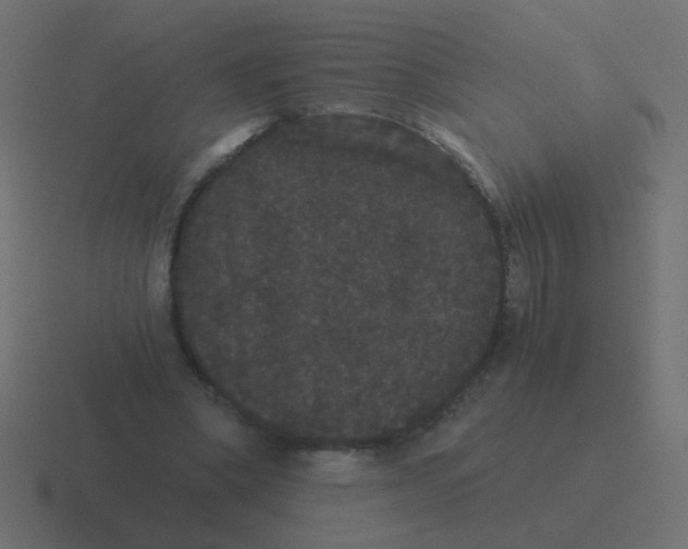 X0000116480394200912292050