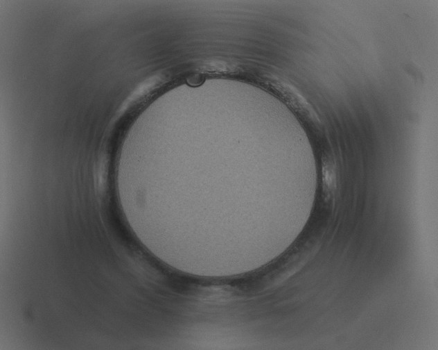 X0000116480396200912292050