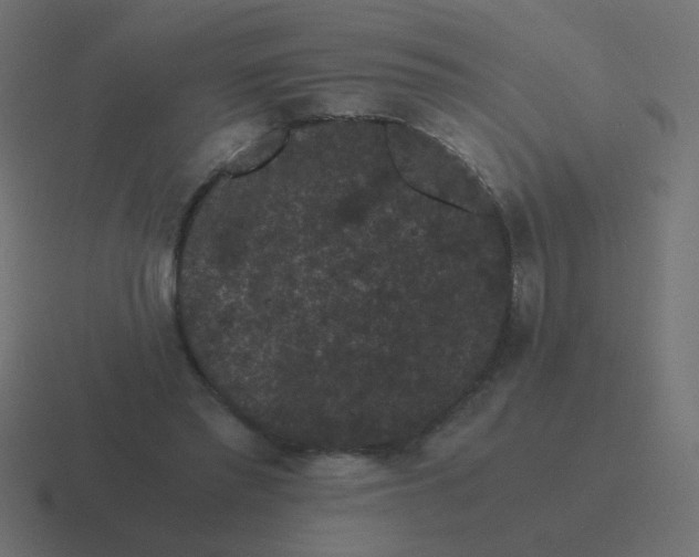 X0000116480397200912292050