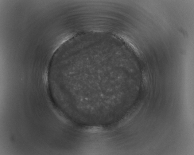 X0000116480398200912292050