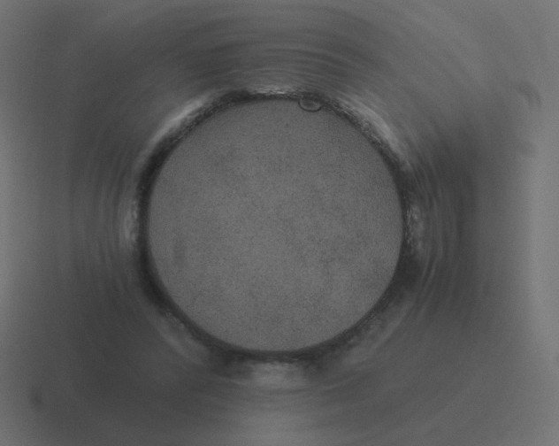 X0000116480400200912292050