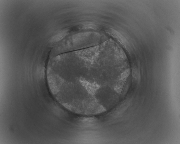 X0000116480401200912292050