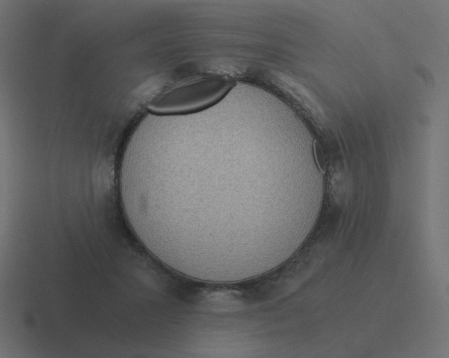 X0000116480407200912292050