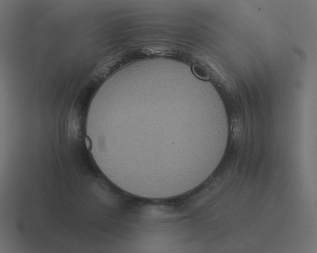 X0000116480408200912292050