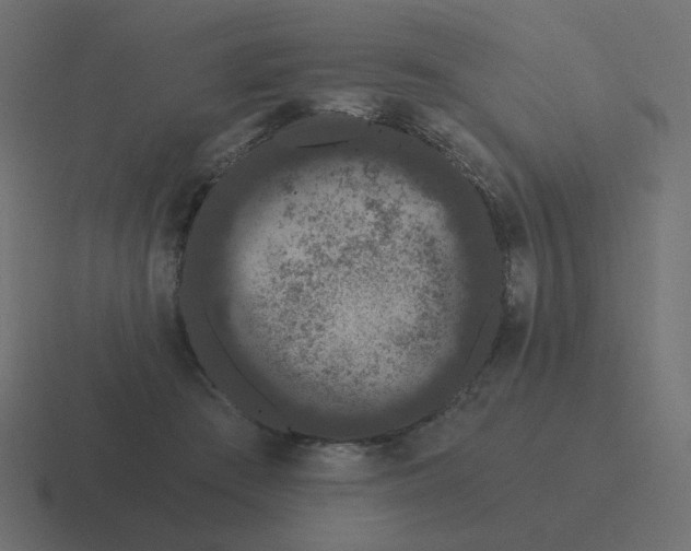 X0000116480409200912292050