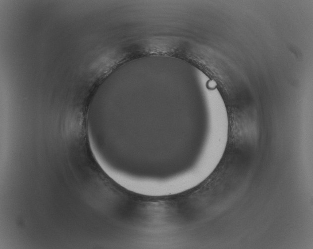 X0000116480411200912292050