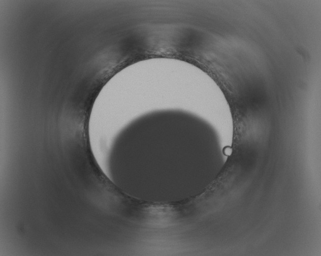 X0000116480415200912292050