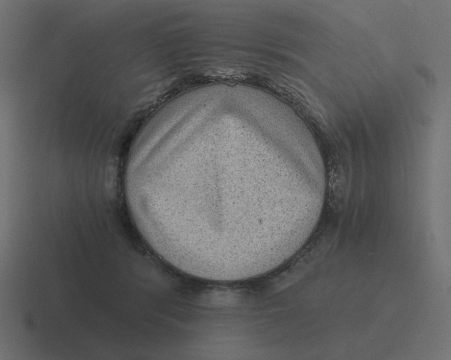 X0000116480416200912292050